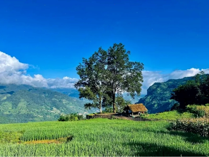 Y Tý Lào Cai ẩn hiện trong mây trắng, điểm du lịch Tây Bắc đẹp như tranh vẽ