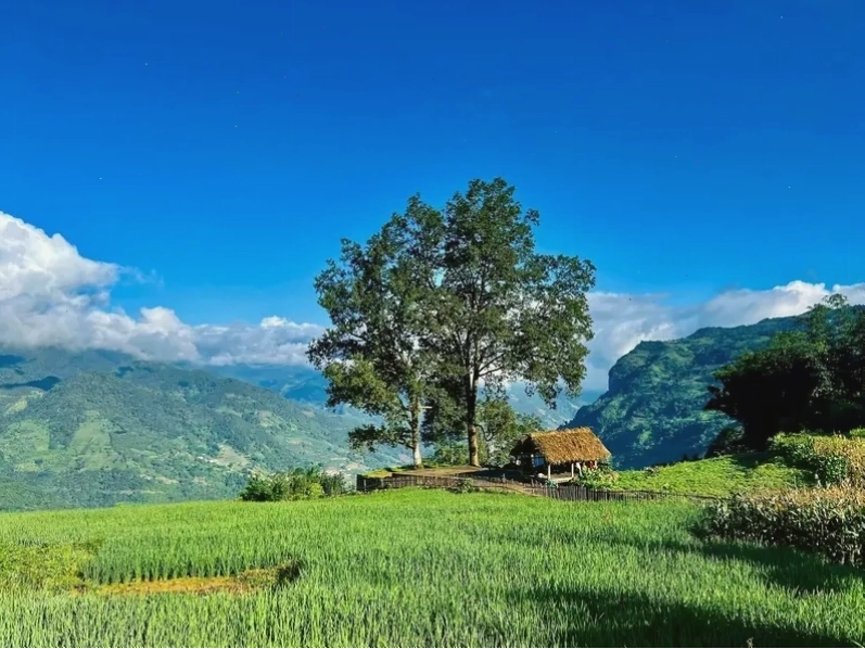 Y Tý và khung cảnh mây trắng xóa